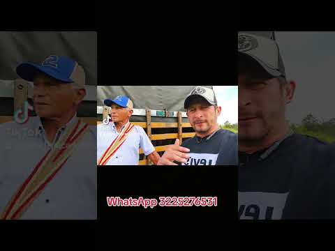 Despacho de nuestros ejemplares Hacia pueblo bello Cesar, siguientes envíos El Dorado Meta, Málag