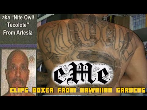 Mexican Mafia "nite owl"clips boxer from Hawaiian gardens for following program.