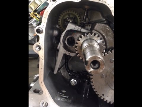 Predator 212 Ghost - Complete Tuning Guide