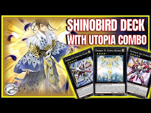 Shinobird x Utopia Combo Is Insane! Full Negate Setup That Shuts Down Opponents!