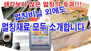 생각보다 많은 멀칭의 효과!  멀칭비닐 말고 멀칭재료 모두 소개합니다.(멀칭깔기, 백색비닐, 흑색비닐, 배색…