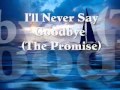 I'll Never Say Goodbye (The Promise) - Earl Klugh - sylvette323c I'll Never Say Goodbye (The Promise) - Earl Klugh