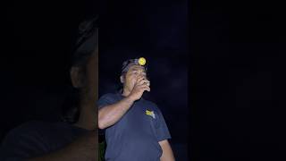 Download lagu The sweet sound of the bamboo flute // cooing of the ruak ruak bird #ruakruak bird #bird #birds #... mp3