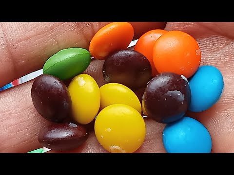 Cocola gems chocolate bean / shimu soha ltd