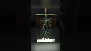 Como um raio fica preso nesse vidro? 🤯 #curiosidades #fatoscuriosos #shorts