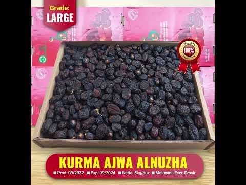 Video Kurma Asyraf