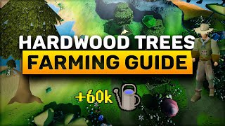 Ultimate guide to Farming Hardwood Trees in OSRS | Old School RuneScape | Quick Guide