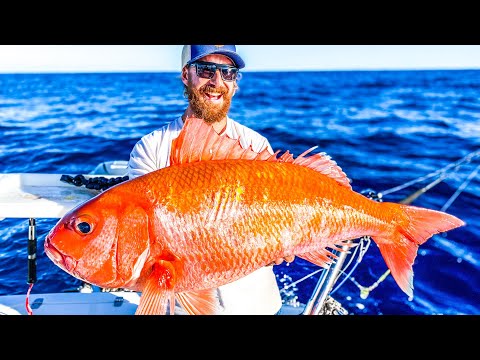 GIANT GOLDFISH in 400m of Water!! ||  Ruby Snapper VS Flame Tail CATCH and COOK