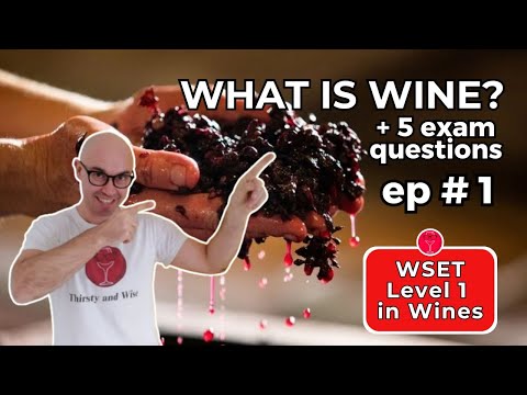 What is Wine? 🍷 WSET Level 1 in Wines – Episode #1