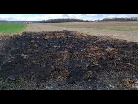 Racibórz Tworków - miejsce po pożarze balotów ze słomą, fot. AB