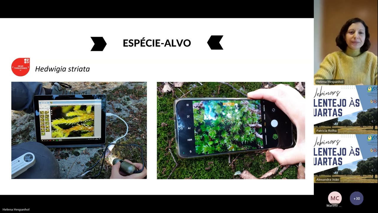 BryoMicroClim: monitorização do microclima à escala dos musgos | ALENTEJO ÀS QUARTAS