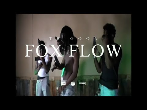 TB Goon - Fox Flow (Official Music Video) @SNGFilmz