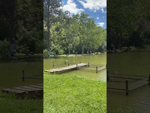 Pesqueiro Nova Dimensão-Sta.Isabel- Sp