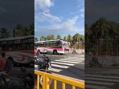 SSS Bus Service || subscribe🙏🏻please Like❣️ #shorts #privatebus #sss #trending