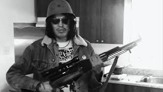 IF WISHES WERE HORSES by KING KHAN RIP HICKIE &amp; THE KOYOTE SISTERS