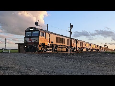 6AM9 SCT up "Dark Ghost" (4 locos, 12 wagons), Penfield to Laverton, 1818, 26/9/25, Dooen VIC 