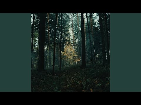 Land Of Plenty - Philipp Johann Thimm