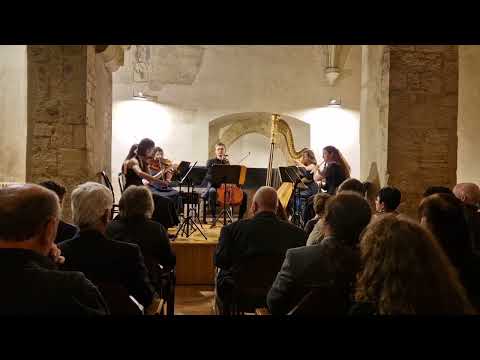 Maurice Ravel - Introduction et Allegro for Harp, Flute, Clarinet and String Quartet