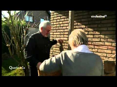 Kerzen mit Prostatitis aus Ei Mehl und Honig Shen zhen und Prostatitis