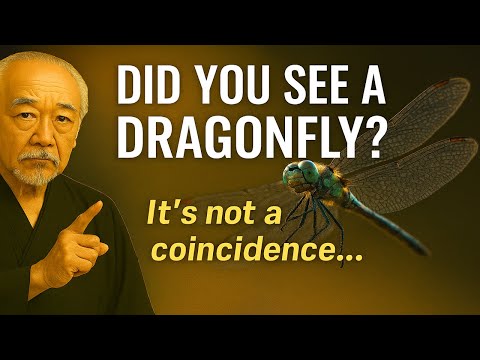 It’s NOT Just a Coincidence - The Spiritual Meaning of DragonFly  | Ancestral Wisdom