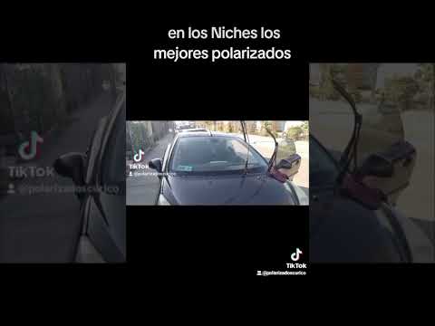 #noticias #chile #curico #maule #nuevaley #stg #viral #virales
