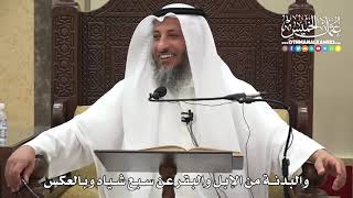 1238 - والبدنة من الإبل والبقر عن سبع شياه وبالعكس - عثمان الخميس