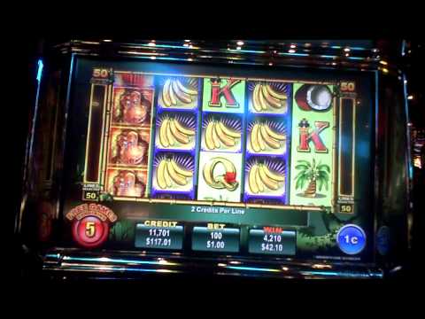 Jungle Monkeys slot bonus win at Hollywood Casino