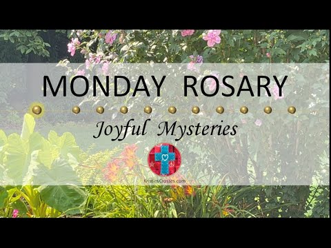 Monday Rosary • Joyful Mysteries of the Rosary 💙 July 31, 2023 VIRTUAL ROSARY - MEDITATION