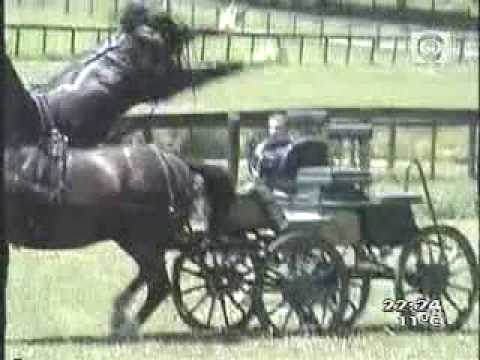 Ataque de un Caballo