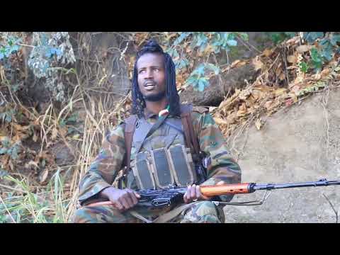 Jaal Mo'ii fi Jaal Surraa Gindaaba Gurmuu Hawwisoo WBO zoonii Lixaa 🎶Galmaan Geenya🎶 2021 Videos