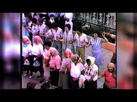 Branko Olar - Pe marginea Dunarii