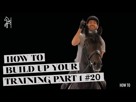 HOW TO build up your TRAINING WARM UP PHASE Part 1-3 | Dressage Tutorial | Begijnhoeve | How To #20