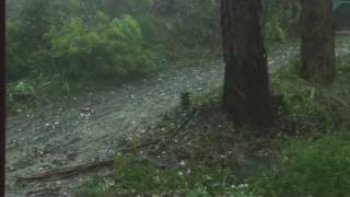 preview picture of video 'Melbourne Hailstorm March 6th 2010'