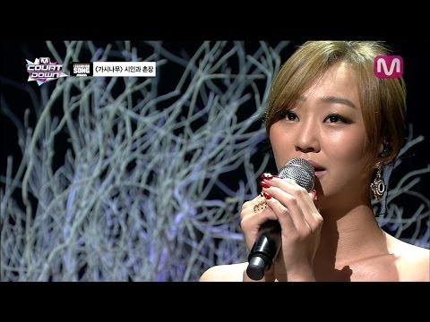 효린_가시나무 (Thorn Tree by Hyolyn of Mcountdown 2014.02.20)