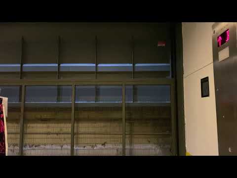 EPIC MOTOR: Schindler / MEI Freight Elevator at Macy's in Manhasset, NY