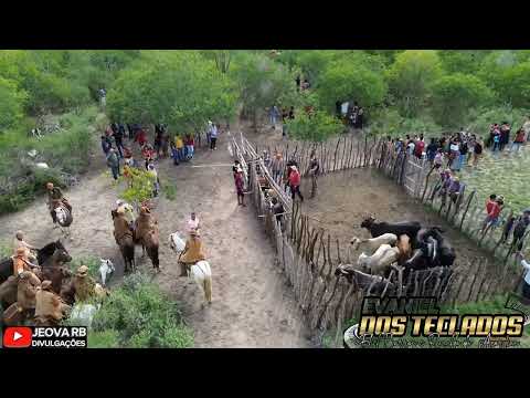 EU APOIO VAQUEJADA - EVANIEL DOS TECLADOS