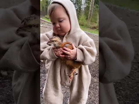 Shining a Light on Cute baby video😍 #viral #shorts #funny_adda #cute #baby #video #with #birds♥️♥️