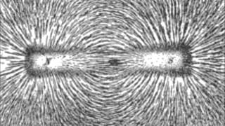 Cover of &quot;I Don&#39;t Believe You&quot; by The Magnetic Fields