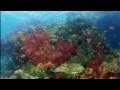 Rick Wakeman - Sea Horses
