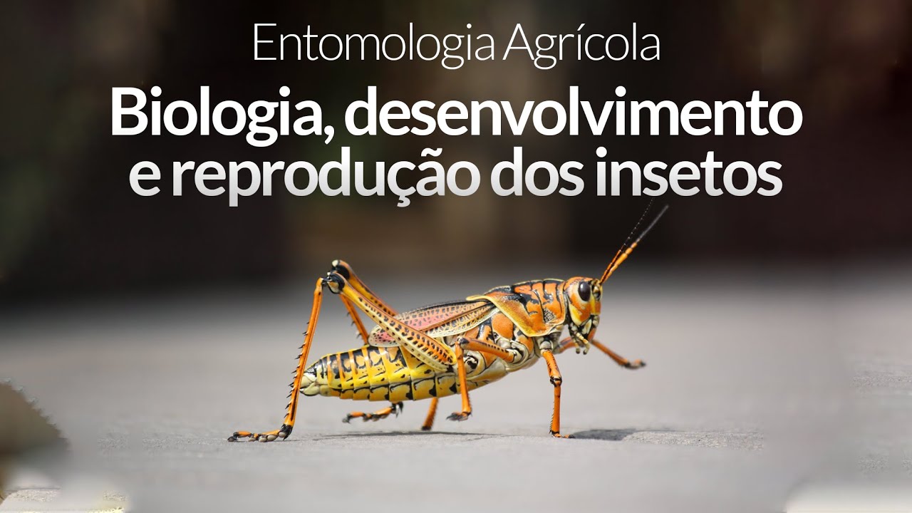 Entomologia Agrícola - Biologia, desenvolvimento e reprodução dos insetos