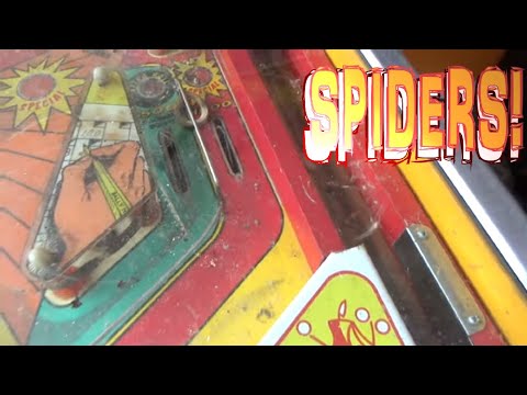 We bought A 1978 Bally Strikes And Spares Pinball Machine Out Of A Carport - Full Of Spiders!!!