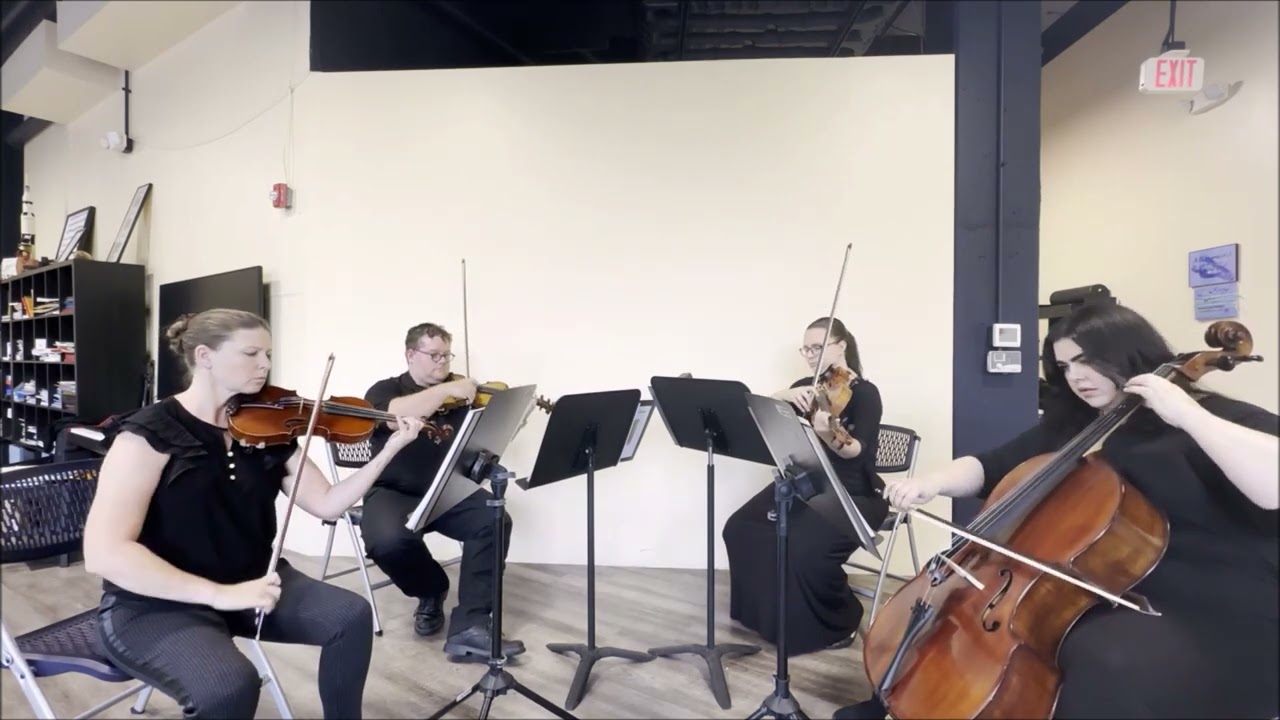 Promotional video thumbnail 4 for Atoka String Quartet