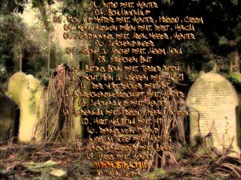 Chirurg des Todes feat. Terror Bitch - Satans Sohn