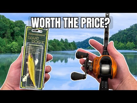 Fishing the Mega Bass Giant Dog X (Honest Review)