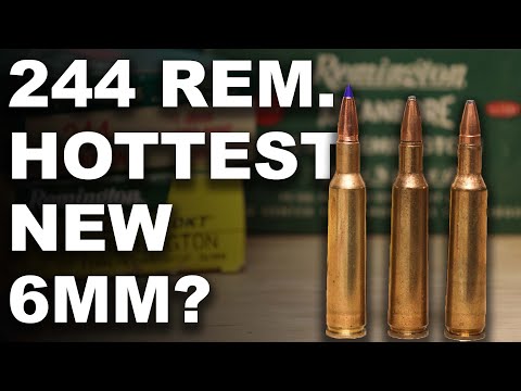 Is 244 Remington the Hottest New 6mm?