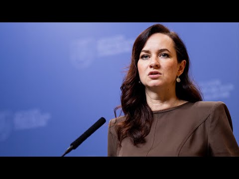 Tiesiogiai – iš Vyriausybės: premjerės Ingos Ruginienės komentaras