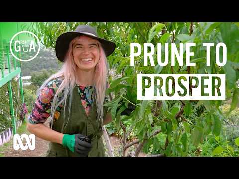 Summer Pruning to Get Done NOW! | Gardening 101 | Gardening Australia