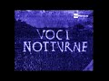 Voci notturne 3 - 1995 - Fabrizio Laurenti, film completo in Italiano