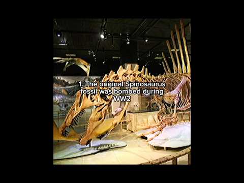 5 facts about the Spinosaurus #dinosaur #spinosaurus