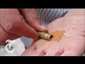 Syria 2012 | Dirty Tricks in the Syrian Civil War.